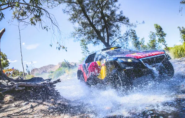 Sand, 2008, Sport, Speed, Race, Peugeot, Lights, Red Bull