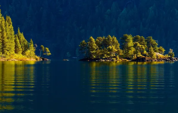 Forest, water, trees, Canada, Canada, island, Cowichan Lake, lake Cowichan