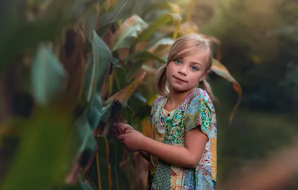 Picture girl, the beauty, bokeh, Lorna Oxenham, In the corn