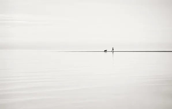 People, dog, walk