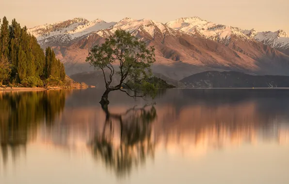 Picture trees, mountains, lake, reflection, rocks, shore, tops, slope