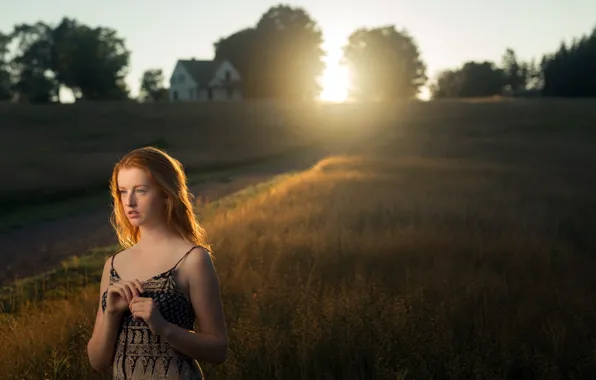 Picture look, girl, light, portrait, the evening