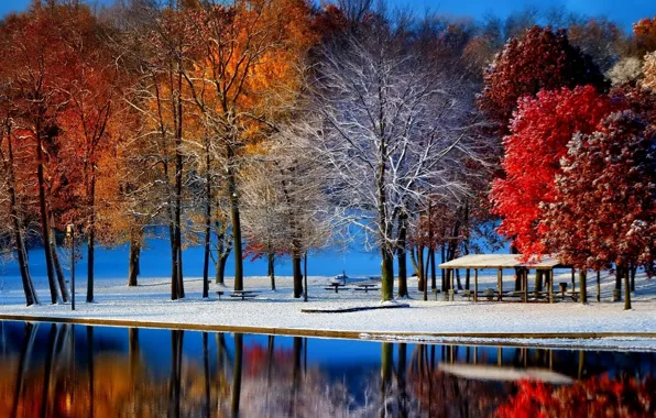 Winter, frost, autumn, leaves, water, snow, trees, landscape