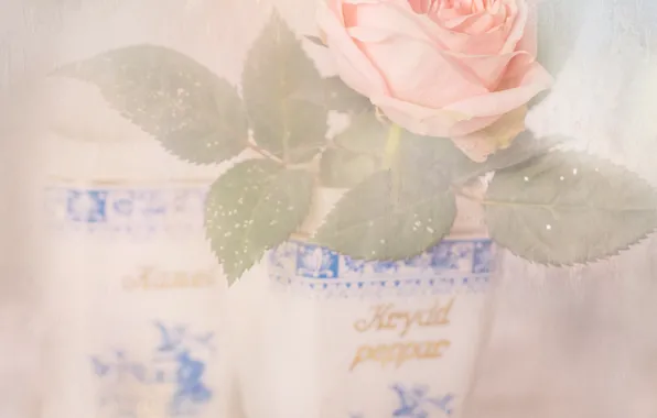 Picture leaves, roses, pot