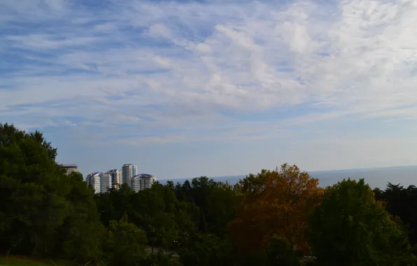Park, view, Sochi