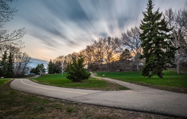 Picture road, trees, Jeff Wallace