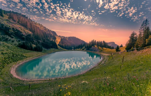 Picture the sky, clouds, trees, flowers, pond, mountain, Pavel Chuchalin