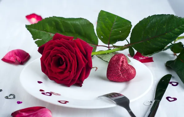 Flower, heart, rose, petals, plate, hearts, Valentine's Day