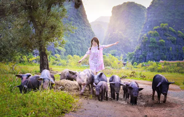 Summer, girl, walk, Asian, pigs