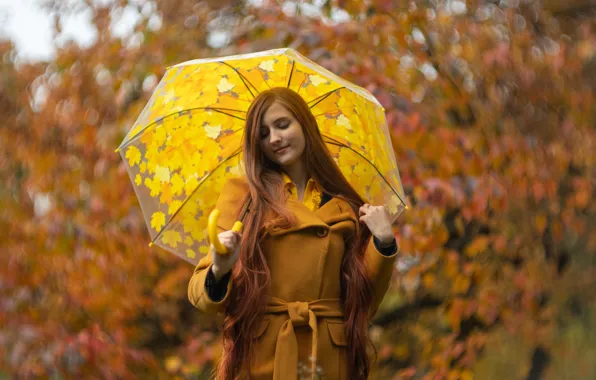 Picture autumn, forest, girl, nature, pose, Park, foliage, umbrella