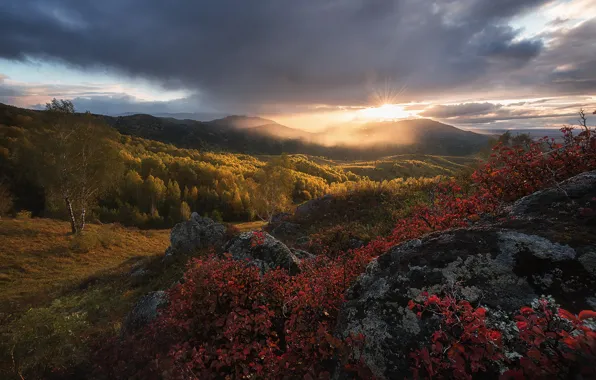 Picture autumn, forest, the sky, the sun, clouds, rays, mountains, stones