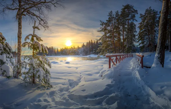 Picture winter, forest, snow, trees, sunset, traces, bridge, river