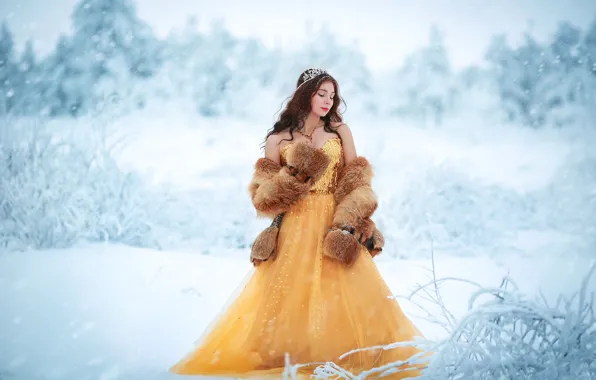 Girl, snow, decoration, dress, fur, Winter