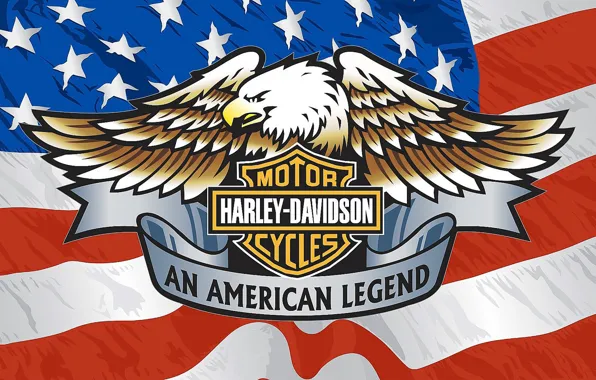 Brand, Eagle, Harley Davidson., American flag