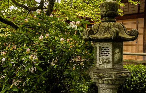 Greens, leaves, flowers, Japan, Bush, garden, lantern, stone
