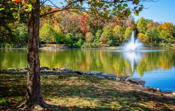 Autumn, trees, pond, Park, fountain, Missouri, Central Park, Missouri
