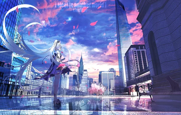 Wallpaper girl, the city, petals, Lifeline, Genshin Impact, Kamisato ...