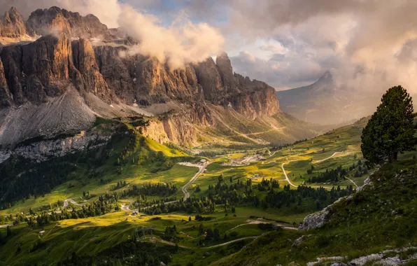 Wallpaper forest, clouds, mountains, fog, tree, rocks, view, field for ...