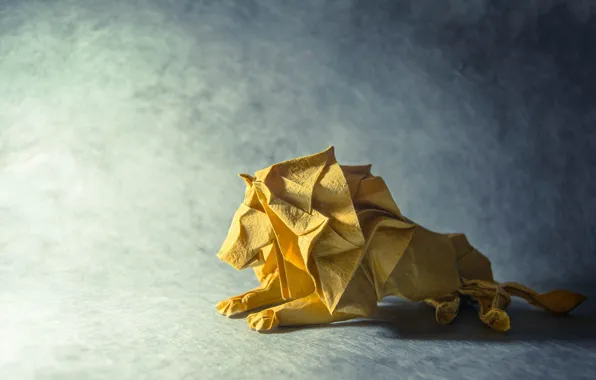Picture paper, Leo, origami