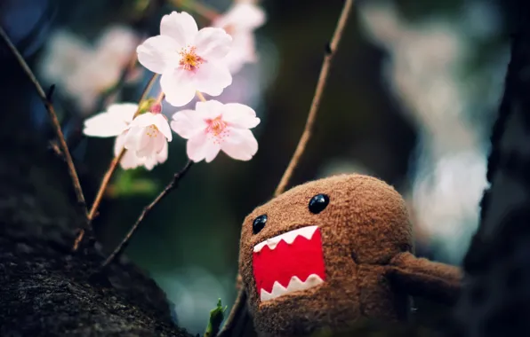 Macro, flowers, branches, photo, tree, Wallpaper, toy, pictures