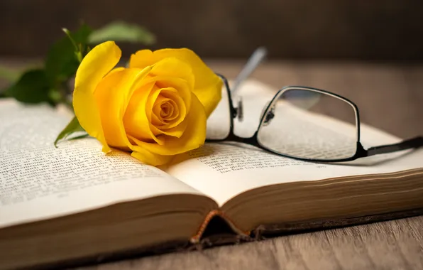 Rose, glasses, book