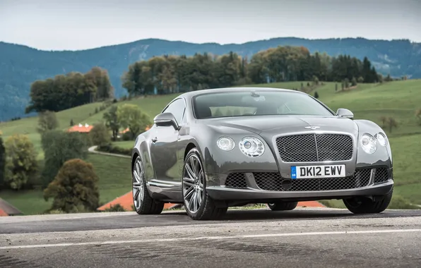 Auto, Bentley, Continental, Machine, Grey, The hood, Lights, Coupe