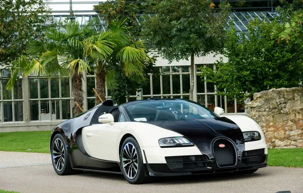 Picture car, sport, Bugatti, Bugatti, sport, cars, grand sport, cars.