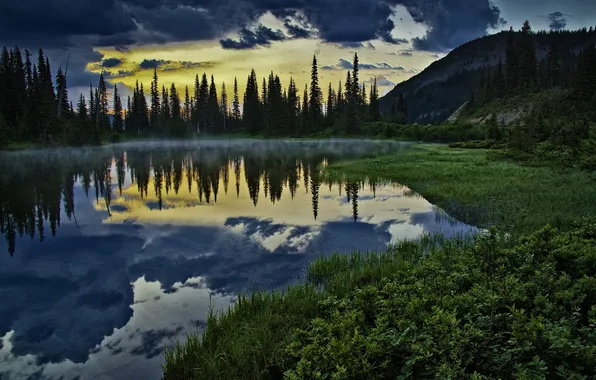 Forest, grass, landscape, sunset, nature, lake