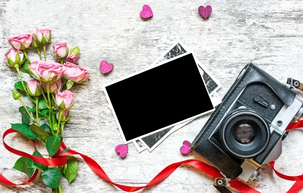Flowers, photo, roses, bouquet, camera, frame, petals, gifts