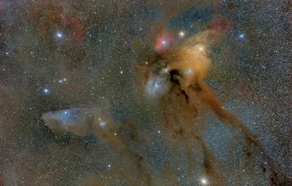 Picture space, stars, nebula, Horse Head