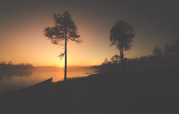 Picture the sky, water, trees, sunset, fog, river, sunrise, dawn