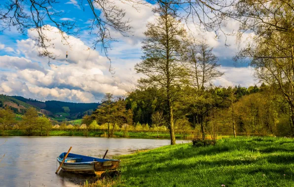 Picture trees, landscape, nature, lake, shore, boat, Germany, forest