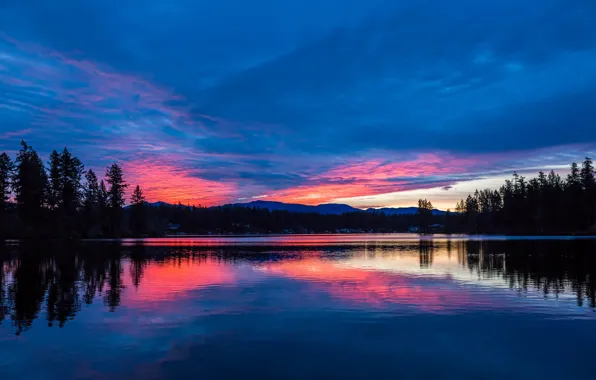 Trees, landscape, mountains, the evening, pond