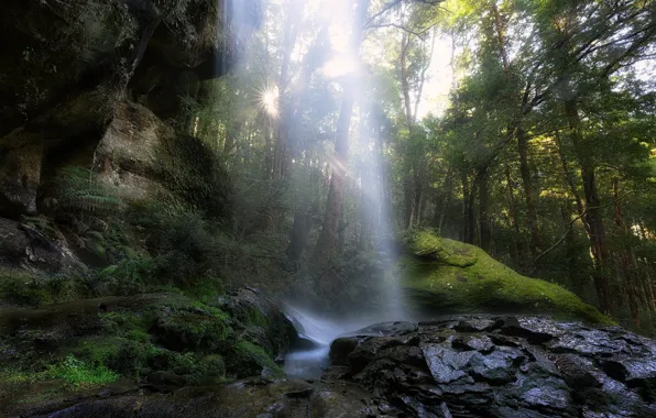 Forest, nature, stones, waterfall, Tasmania, Meander Conservation Area, Tasmania., reserve to Meander