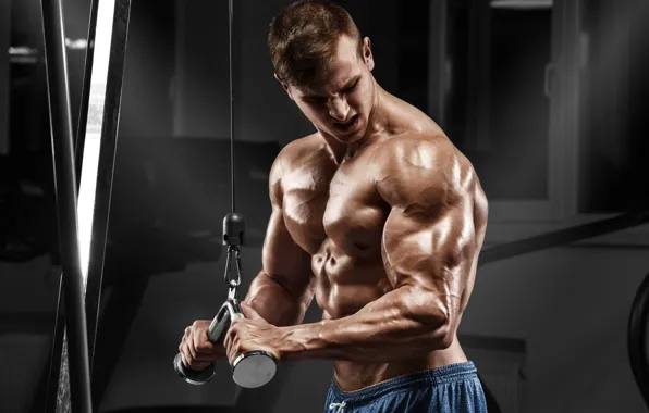 Picture pose, fitness, muscle, muscle, athlete, simulators, biceps, gym