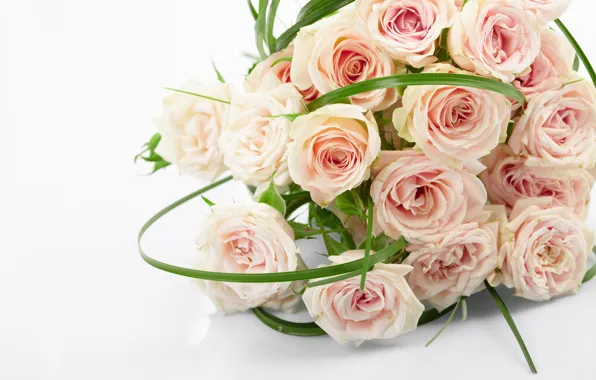 Roses, bouquet, pink, flowers, roses