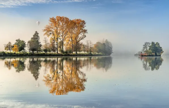 Picture trees, fog, lake, reflection, balloon