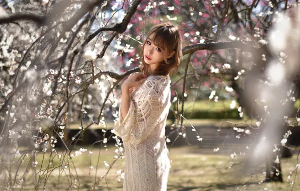 Girl, spring, Asian