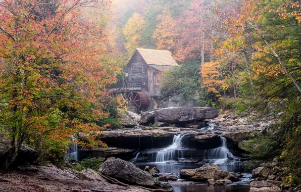 Picture forest, mountains, photo, waterfall, house