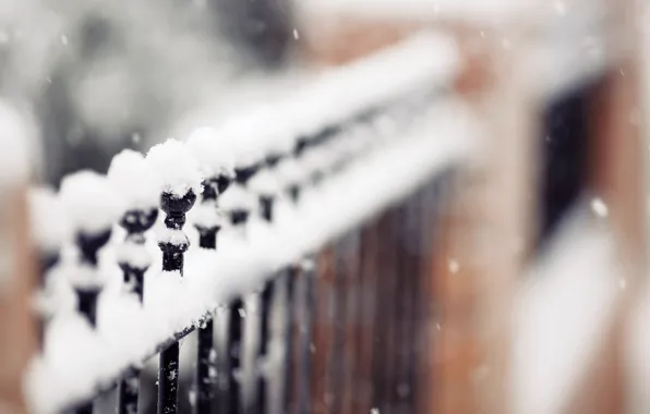 Picture winter, snowflakes, nature, the fence, focus, fence, is, snow