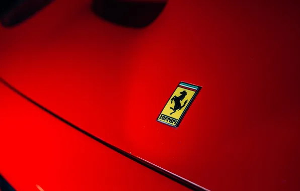 Picture Ferrari, 1997, F50