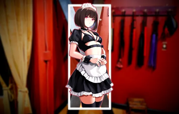 Picture girl, anime, brunette, the maid
