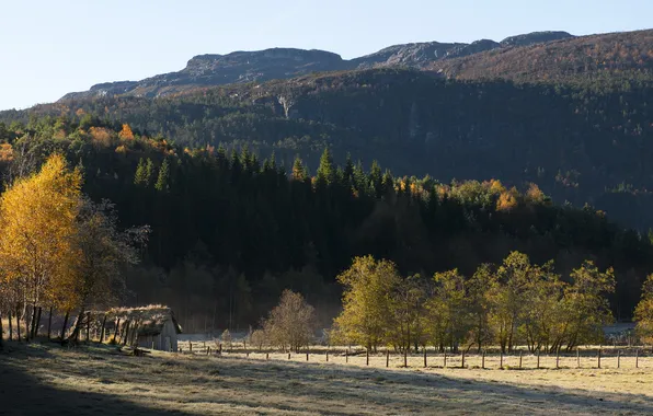 Field, landscape, mountains, home