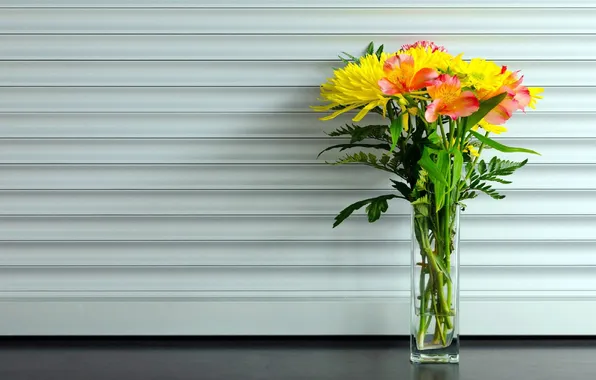 Strip, bouquet, shutters