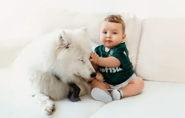 Sofa, child, dog, boy, baby, tie, white background, white