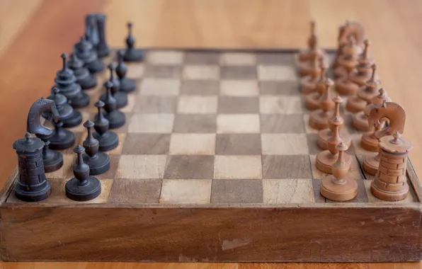 Macro, chess, figure
