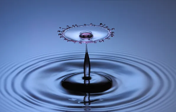 Picture water, drop, a drop