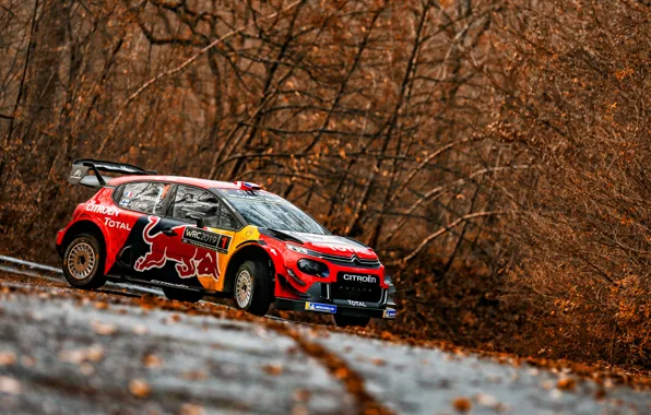 Winter, Auto, Snow, Sport, Machine, Race, Citroen, Citroen