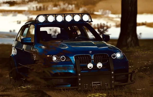 HDR, BMW, Wood, Snow, Game, SUV, X5M, Offroad