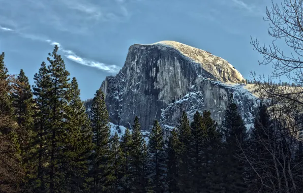 Trees, landscape, mountain